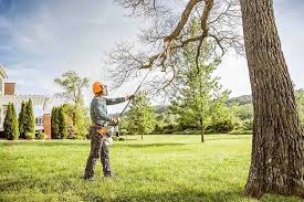 Professional  Tree Services in Vandalia, IL